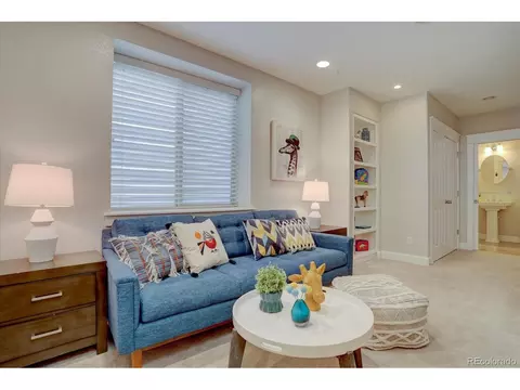 8704 E 29th Pl, Denver, CO 80238 photo 29
