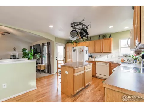310 Windflower Way, Severance, CO 80550 photo 11