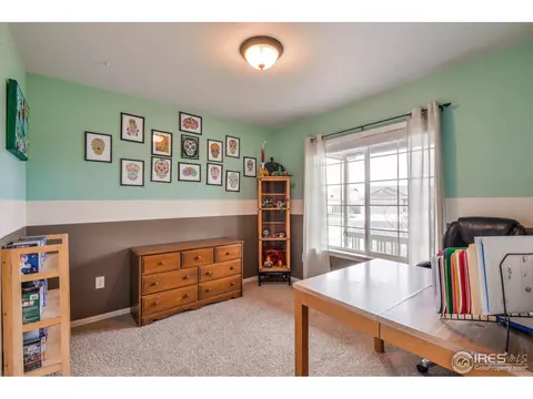 310 Windflower Way, Severance, CO 80550 photo 25
