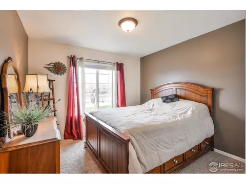 310 Windflower Way, Severance, CO 80550 photo 27