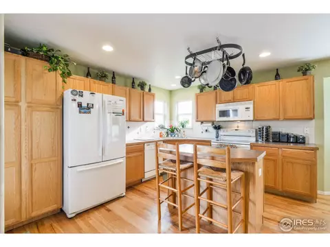 310 Windflower Way, Severance, CO 80550 photo 10
