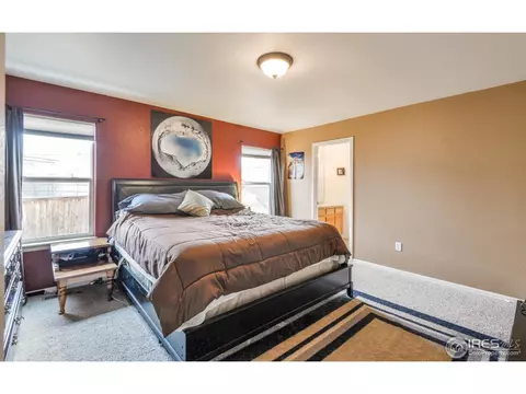 310 Windflower Way, Severance, CO 80550 photo 20