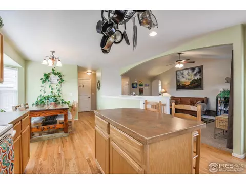 310 Windflower Way, Severance, CO 80550 photo 13