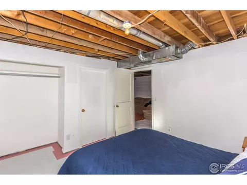 126 Oak St, Windsor, CO 80550 photo 22