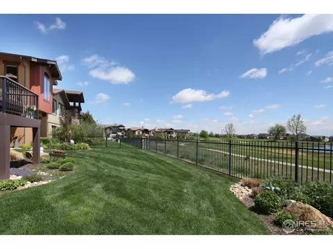 6540 Murano Dr, Windsor, CO 80550 photo 19