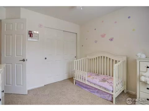 6591 Silverleaf Ave, Firestone, CO 80504 photo 23