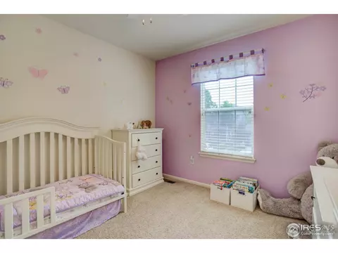 6591 Silverleaf Ave, Firestone, CO 80504 photo 22