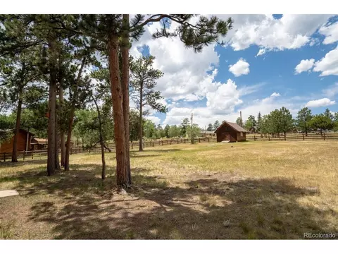 Exterior - 541 Beaver Trl, Bailey, CO 80421 photo 10 of 13