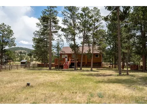 Exterior - 541 Beaver Trl, Bailey, CO 80421 photo 11 of 13