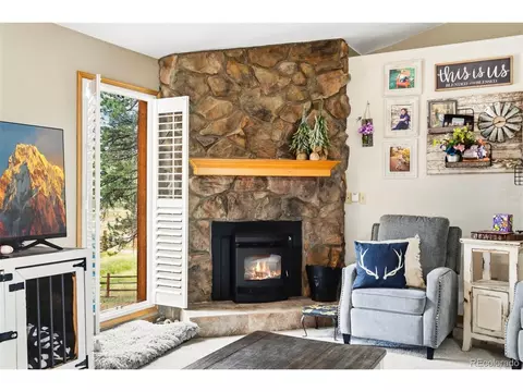 Living - 541 Beaver Trl, Bailey, CO 80421 photo 6 of 6