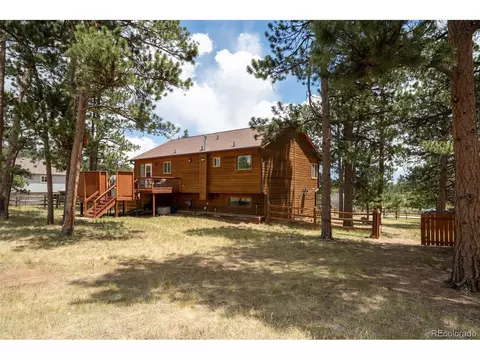 Other - 541 Beaver Trl, Bailey, CO 80421 photo 7 of 8
