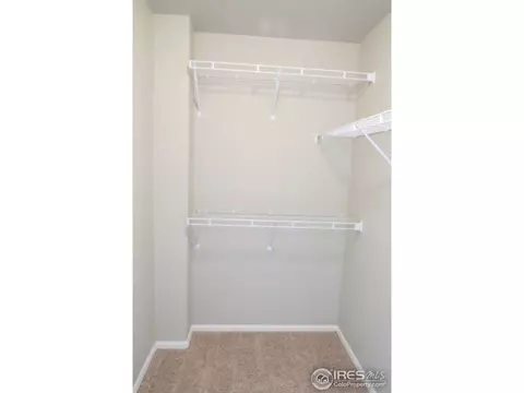 2143 Grain Bin Dr, Windsor, CO 80550 photo 13