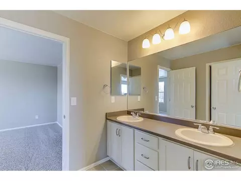6070 Moran Rd, Timnath, CO 80547 photo 28