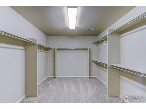 6070 Moran Rd, Timnath, CO 80547 photo 23