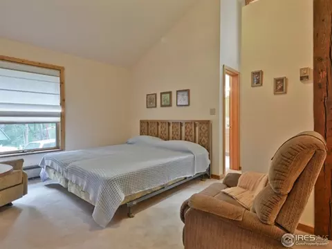 391 Cedar Dr, Lyons, CO 80540 photo 19