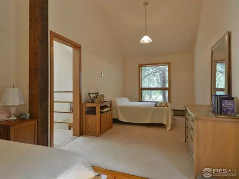 391 Cedar Dr, Lyons, CO 80540 photo 15