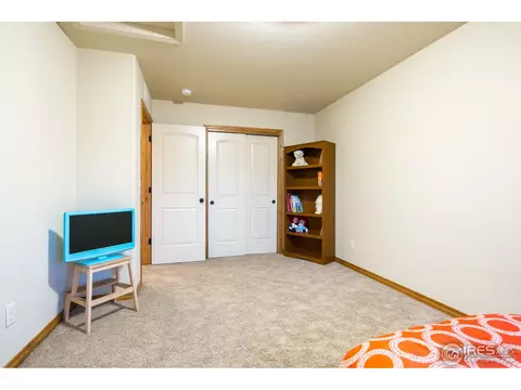342 Telluride Dr, Windsor, CO 80550 photo 19