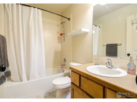 342 Telluride Dr, Windsor, CO 80550 photo 20