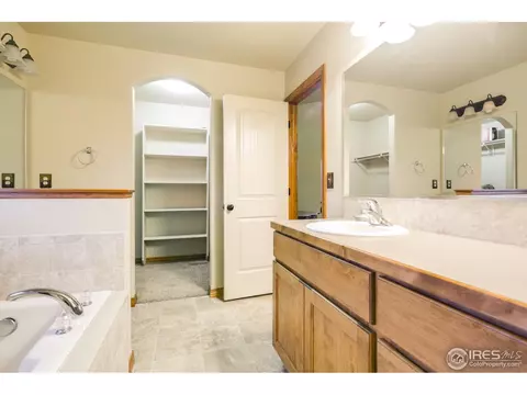 342 Telluride Dr, Windsor, CO 80550 photo 17