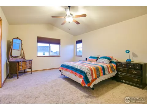 342 Telluride Dr, Windsor, CO 80550 photo 14