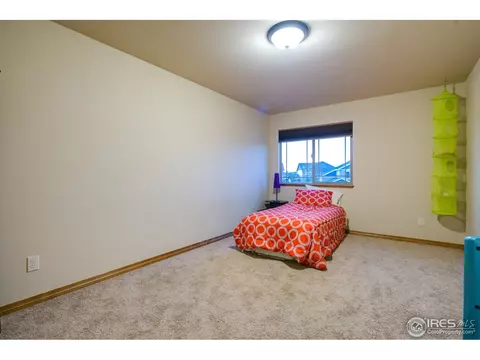342 Telluride Dr, Windsor, CO 80550 photo 18
