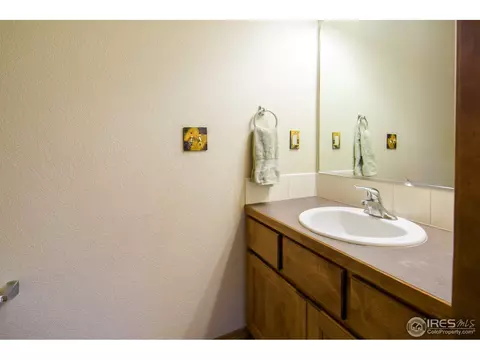 342 Telluride Dr, Windsor, CO 80550 photo 12