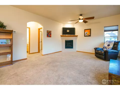 342 Telluride Dr, Windsor, CO 80550 photo 11