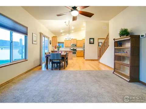342 Telluride Dr, Windsor, CO 80550 photo 9