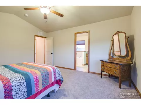 342 Telluride Dr, Windsor, CO 80550 photo 15