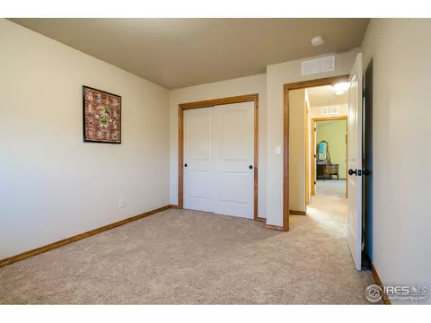 342 Telluride Dr, Windsor, CO 80550 photo 21