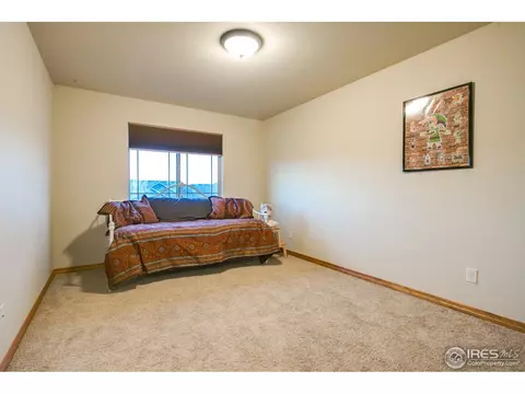 342 Telluride Dr, Windsor, CO 80550 photo 22
