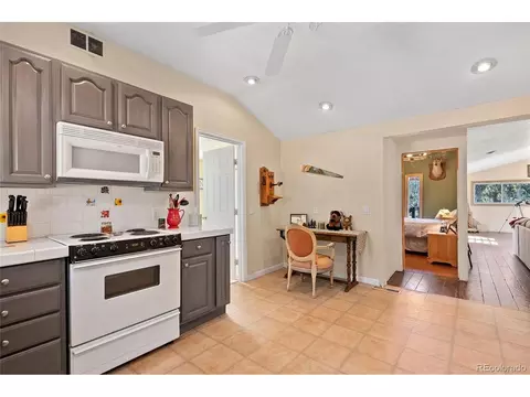 379 Houston St, Bailey, CO 80421 photo 4