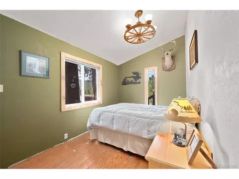 379 Houston St, Bailey, CO 80421 photo 20