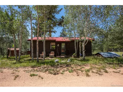 379 Houston St, Bailey, CO 80421 photo 30