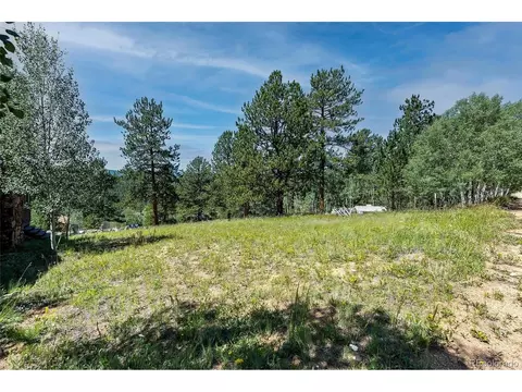 379 Houston St, Bailey, CO 80421 photo 28