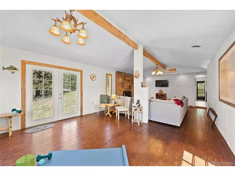 379 Houston St, Bailey, CO 80421 photo 15