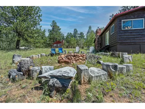 379 Houston St, Bailey, CO 80421 photo 26