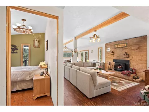 379 Houston St, Bailey, CO 80421 photo 8