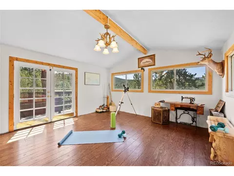 379 Houston St, Bailey, CO 80421 photo 13