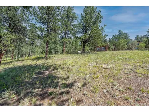 379 Houston St, Bailey, CO 80421 photo 34