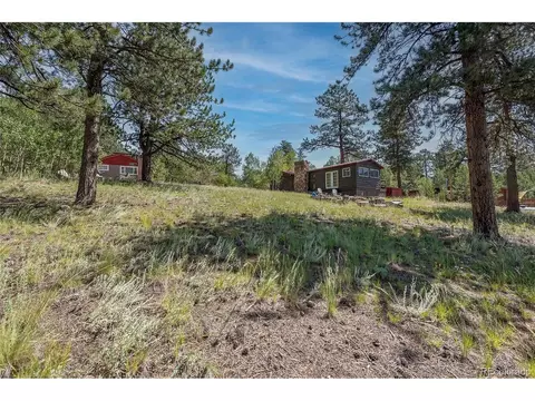 379 Houston St, Bailey, CO 80421 photo 33