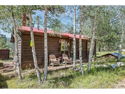 379 Houston St, Bailey, CO 80421 photo 31