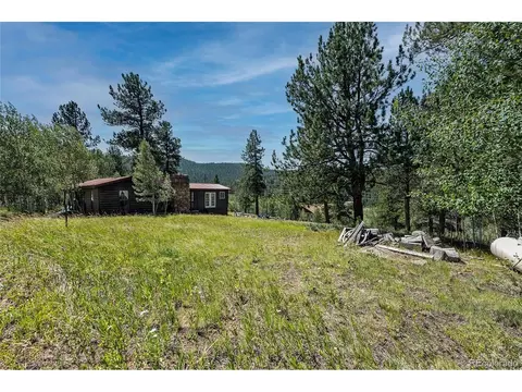 379 Houston St, Bailey, CO 80421 photo 29