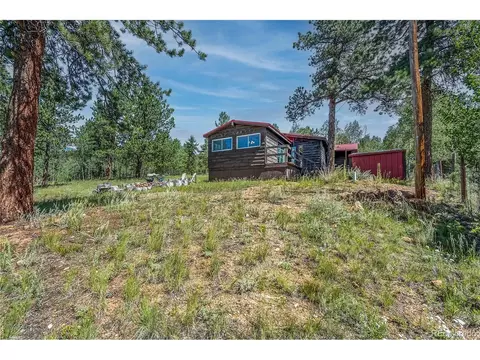 379 Houston St, Bailey, CO 80421 photo 27