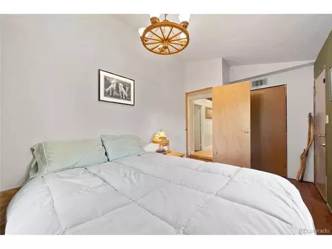379 Houston St, Bailey, CO 80421 photo 22