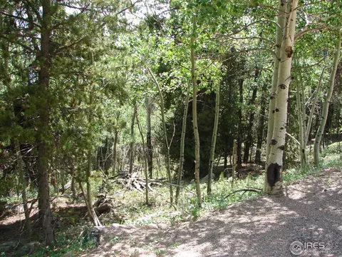 11184 Thomas Dr, Conifer, CO 80433 photo 19