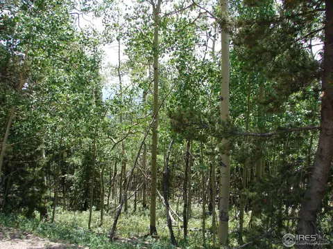 11184 Thomas Dr, Conifer, CO 80433 photo 16