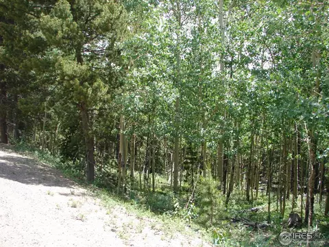 11184 Thomas Dr, Conifer, CO 80433 photo 15