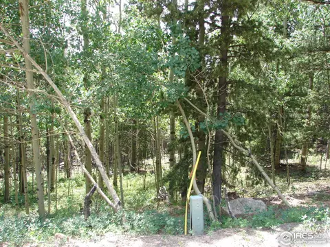 11184 Thomas Dr, Conifer, CO 80433 photo 8