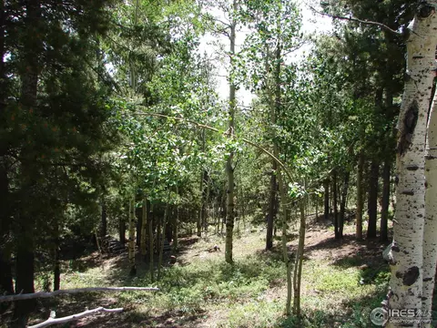 11184 Thomas Dr, Conifer, CO 80433 photo 18